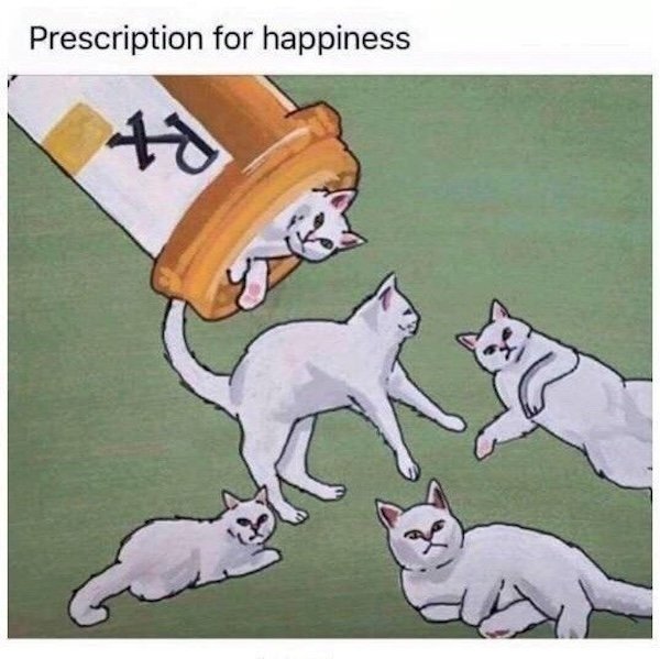Jokes For Cat Lovers (25 pics)