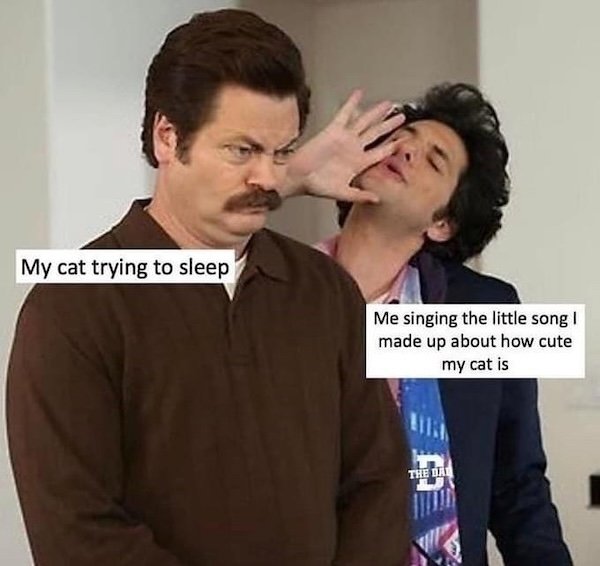 Jokes For Cat Lovers (25 pics)