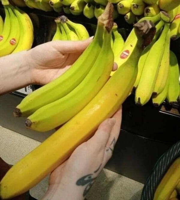 Strange Situations (19 pics)
