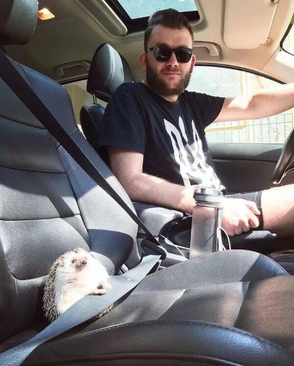 Strange Situations (19 pics)