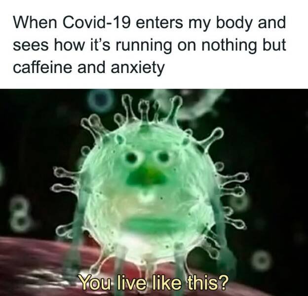 Memes About Anxiety (24 pics)