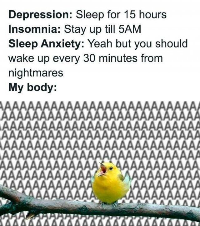 Memes About Anxiety (24 pics)