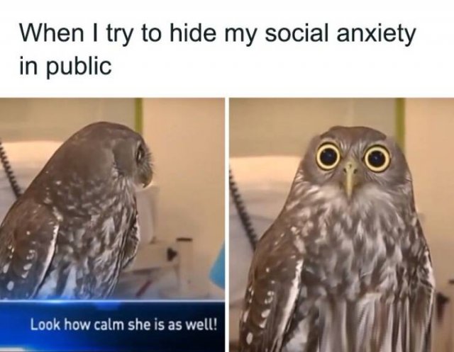 Memes About Anxiety (24 pics)