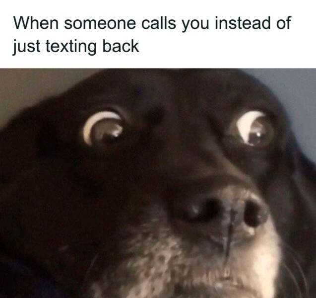 Memes About Anxiety (24 pics)