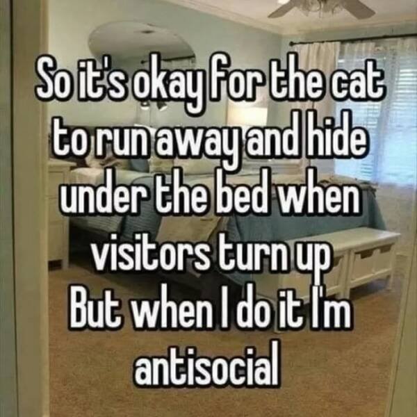 Memes About Anxiety (24 pics)
