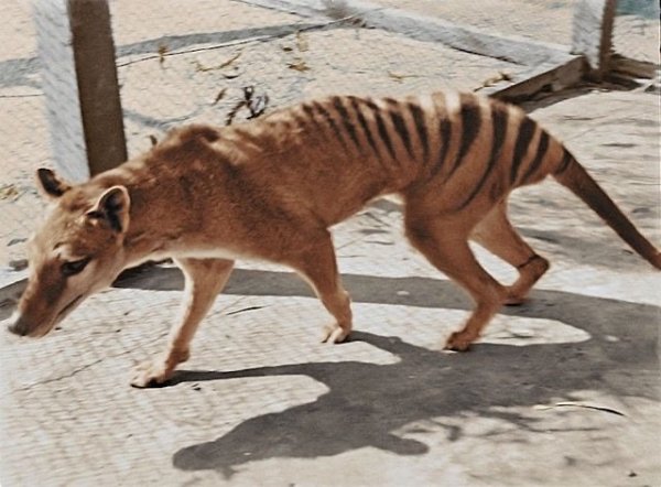 Interesting Photos And Finds (22 pics)