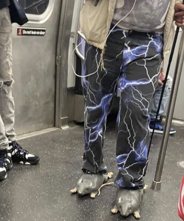 What Is Going On Here? (29 pics)