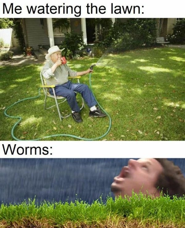 Funny Memes (41 pics)