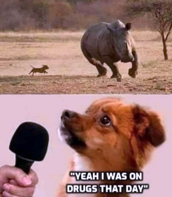 Funny Memes (41 pics)