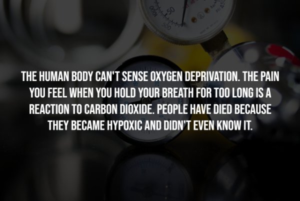 Creepy Facts (14 pics)