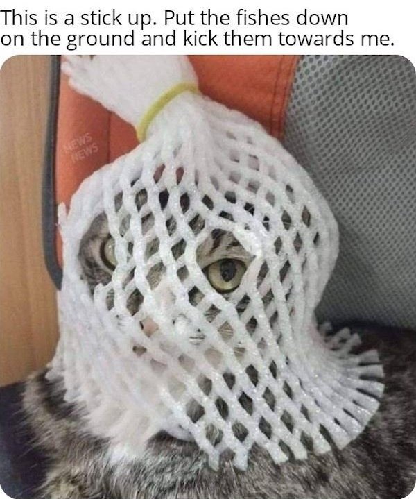 Funny Memes (41 pics)