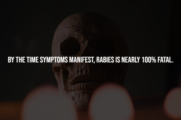 Creepy Facts (14 pics)
