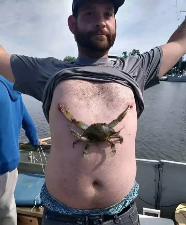 What Is Going On Here? (29 pics)