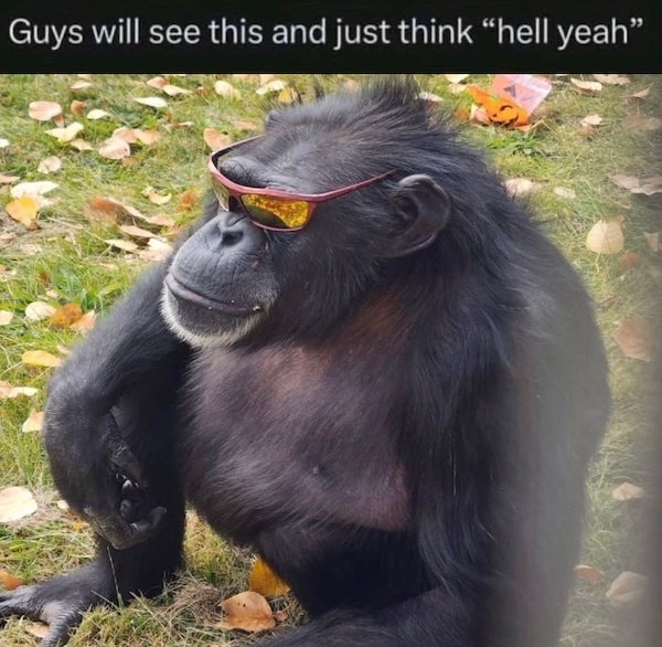 Funny Memes (41 pics)