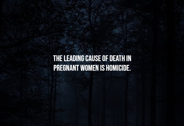 Creepy Facts (14 pics)