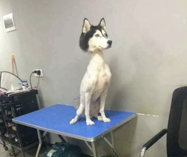 What Is Going On Here? (29 pics)
