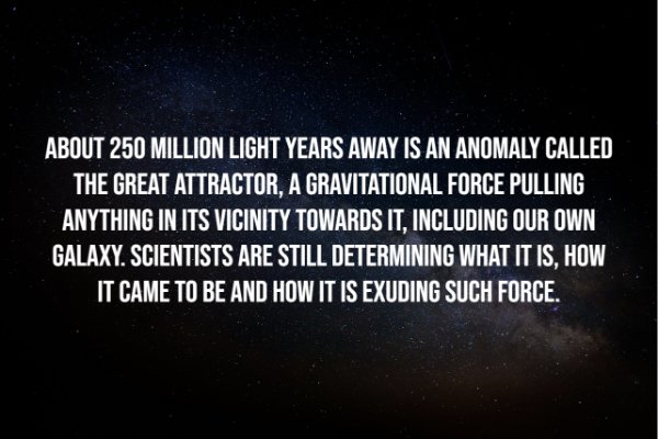 Creepy Facts (14 pics)