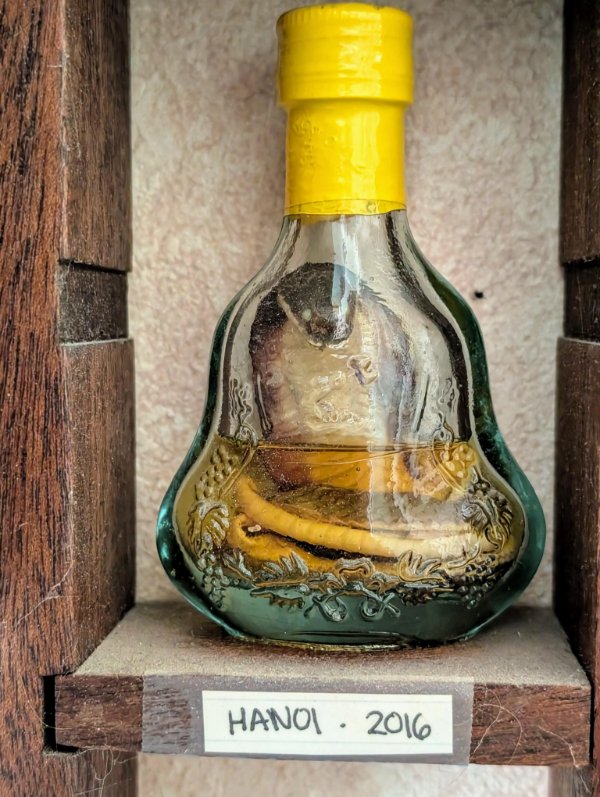 Cool Finds And Discoveries (24 pics)