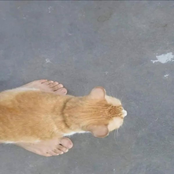 What Is Going On Here? (29 pics)