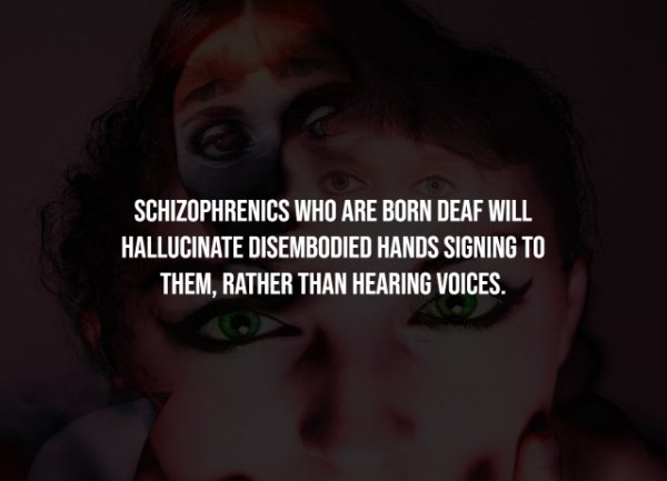 Creepy Facts (14 pics)