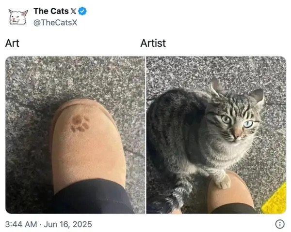 Photos For Cat Lovers (29 pics)