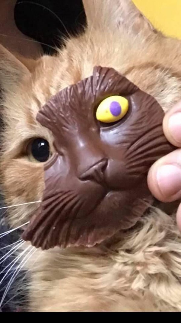 What Is Going On Here? (29 pics)