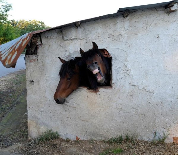 What Is Going On Here? (29 pics)