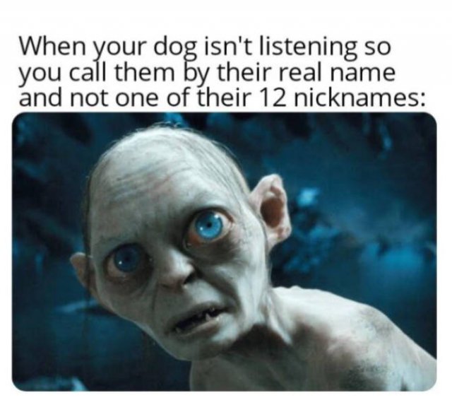 Funny Memes (22 pics)