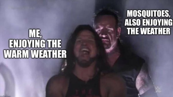 Truthful Memes (35 pics)