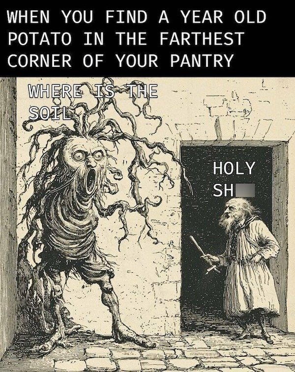 Truthful Memes (35 pics)