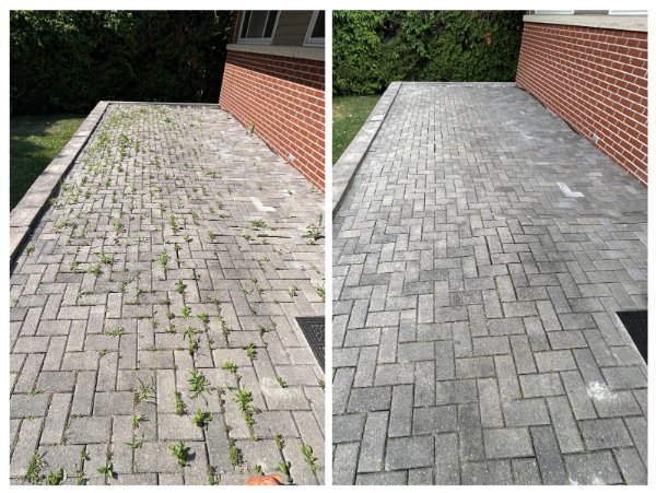 Photos For Perfectionists (25 pics)