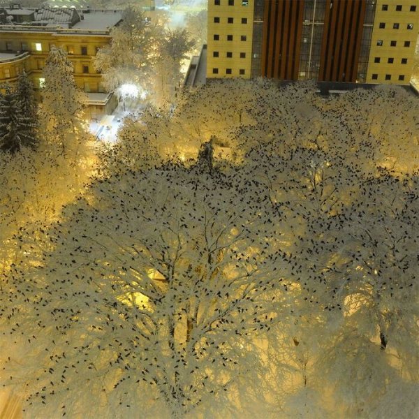 Photos For Perfectionists (25 pics)