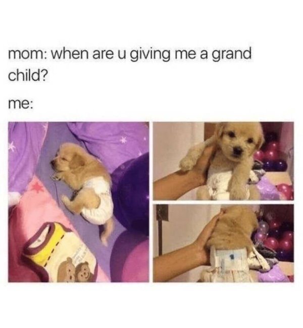 Truthful Memes (35 pics)
