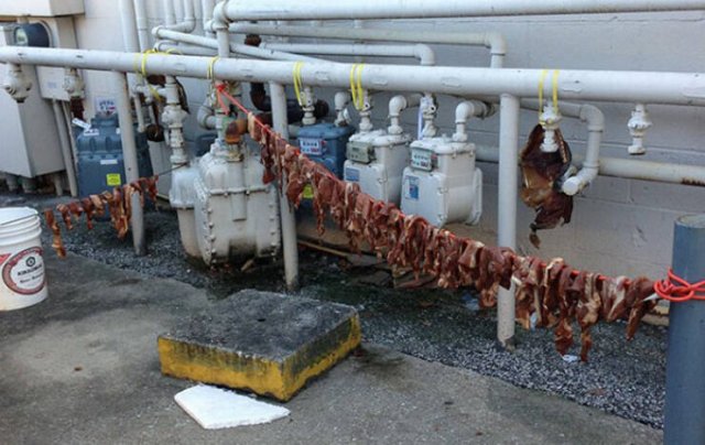 Restaurant Failures (18 pics)