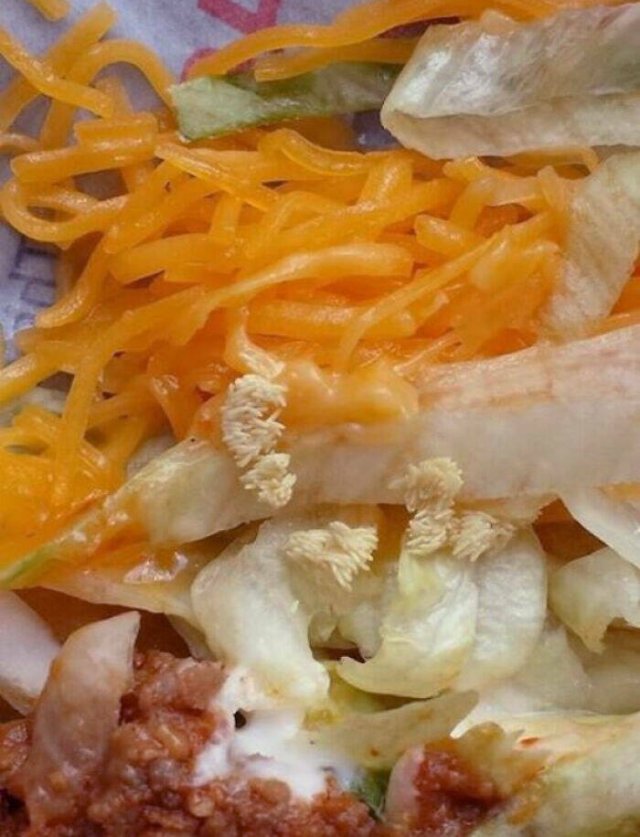 Restaurant Failures (18 pics)