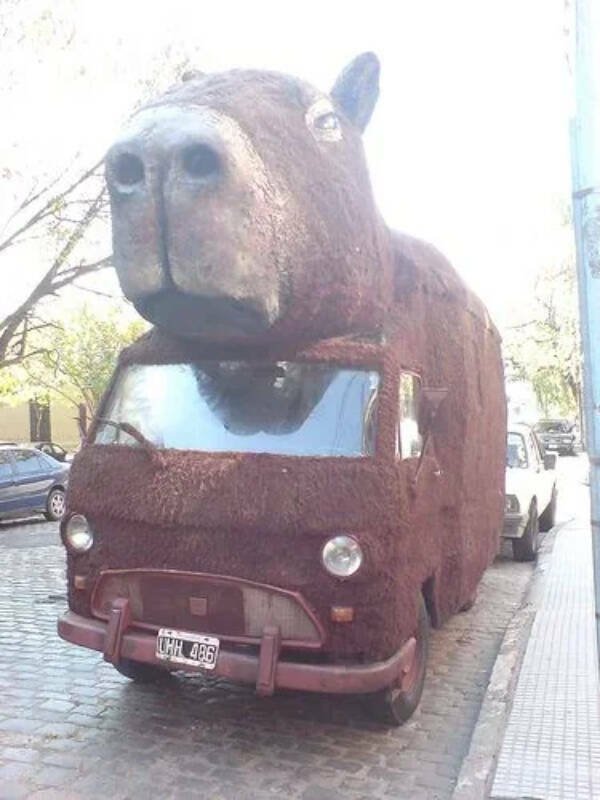 Strange Things And Designs (19 pics)