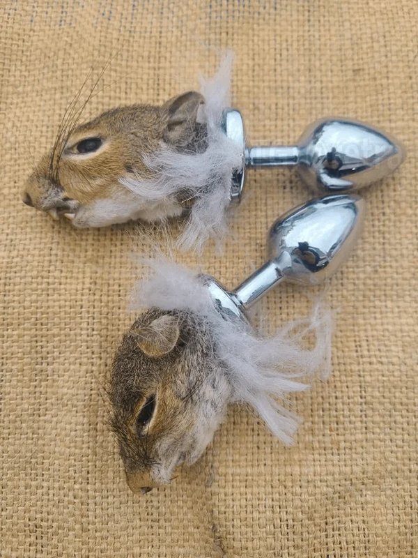What Is Going On Here? (21 pics)
