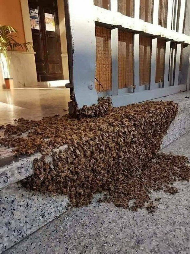Interesting Photos From Around The World (17 pics)