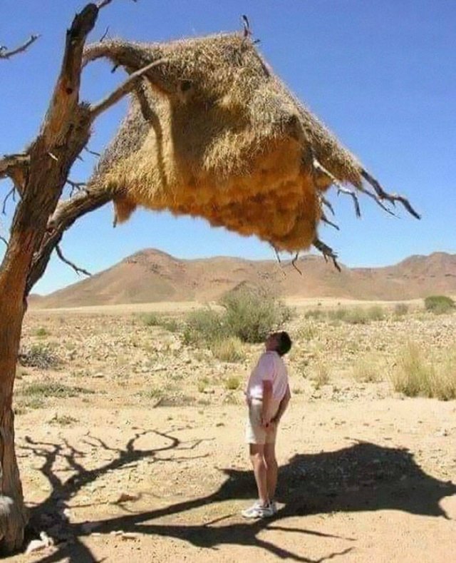 Interesting Photos From Around The World (17 pics)