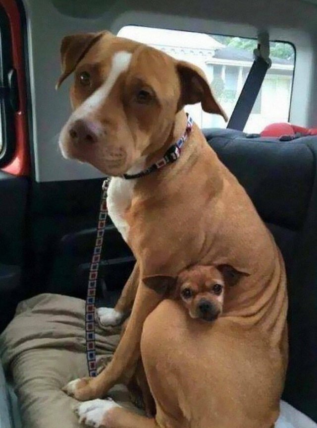Interesting Photos From Around The World (17 pics)