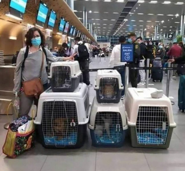 Interesting Photos From Around The World (17 pics)
