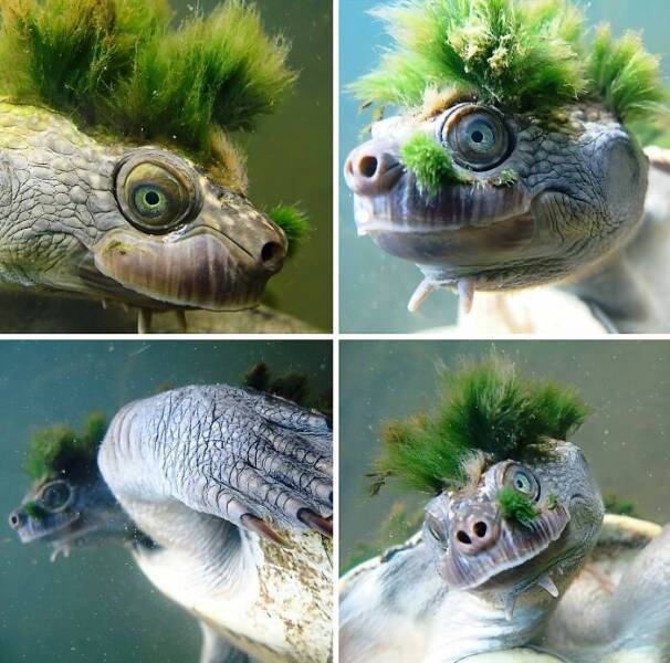 Interesting Photos From Around The World (17 pics)