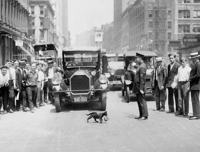 Interesting Historical Photos (22 pics)