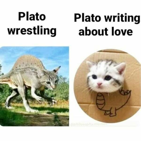 Funny Philosophy (23 pics)