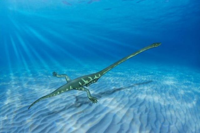 Fascinating Facts About Dinosaurs (17 pics)