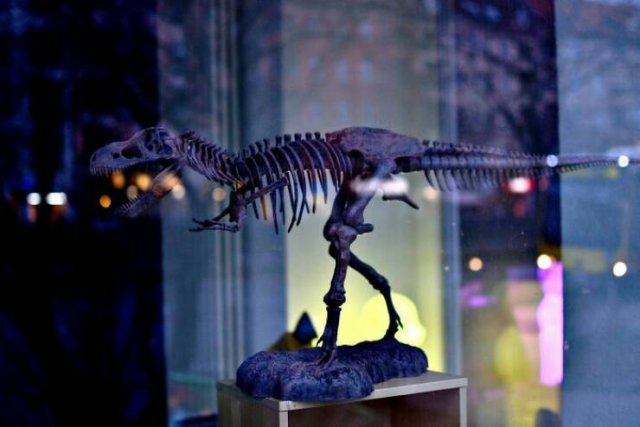 Fascinating Facts About Dinosaurs (17 pics)
