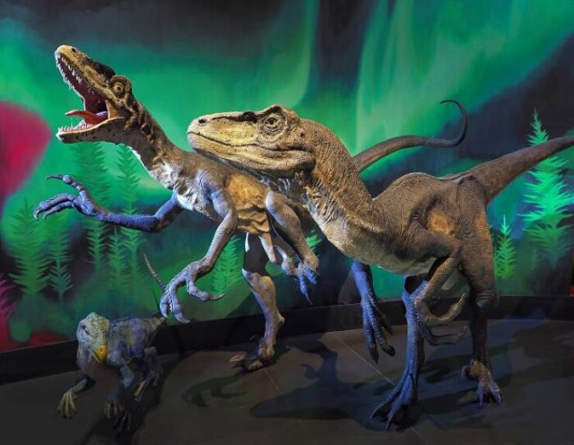 Fascinating Facts About Dinosaurs (17 pics)
