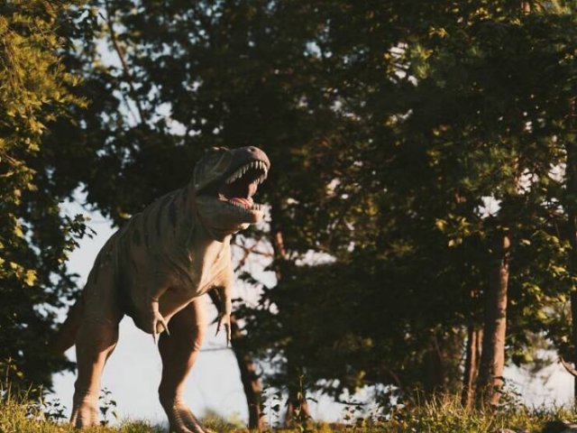 Fascinating Facts About Dinosaurs (17 pics)