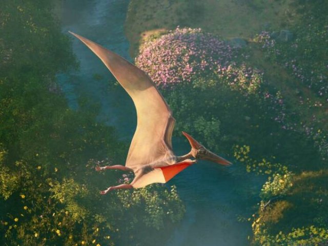 Fascinating Facts About Dinosaurs (17 pics)
