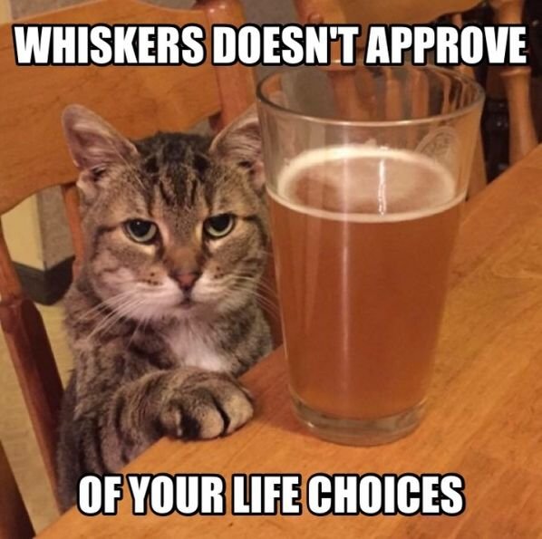 Funny Memes (35 pics)